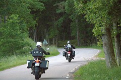 IMG_7921.jpg  IMG_7921